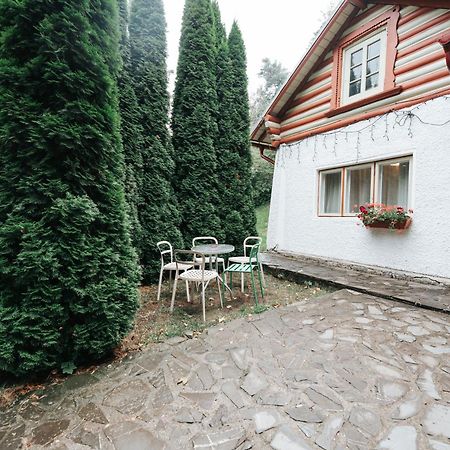 Vila Camelia Sinaia Exteriör bild