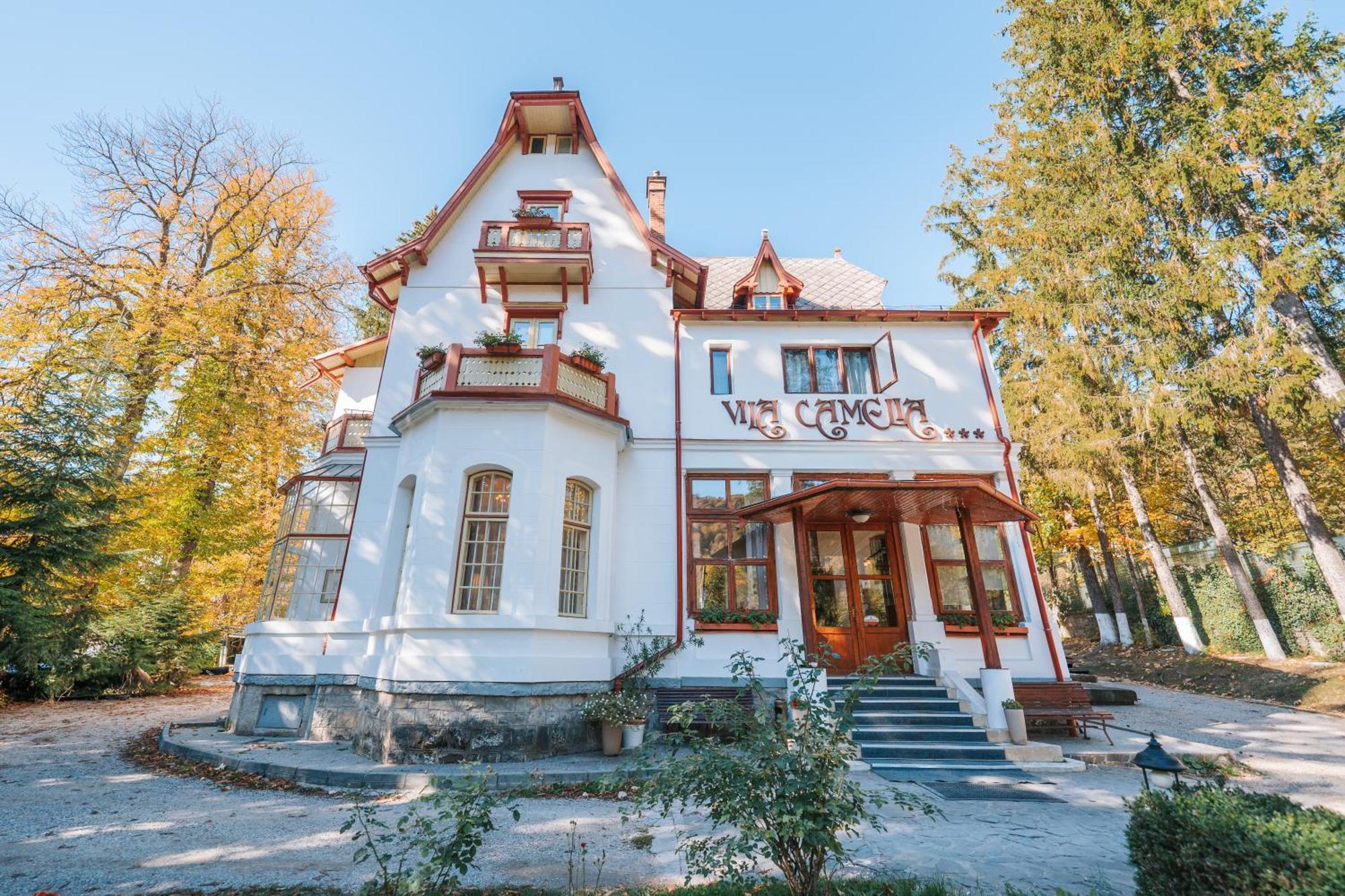 Vila Camelia Sinaia Exteriör bild