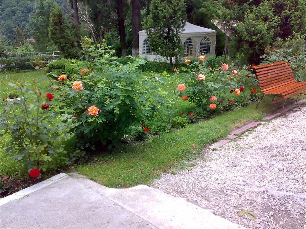 Vila Camelia Sinaia Exteriör bild