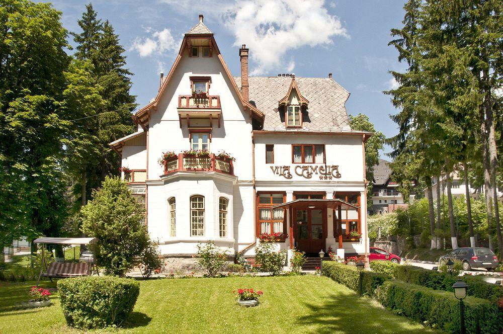 Vila Camelia Sinaia Exteriör bild