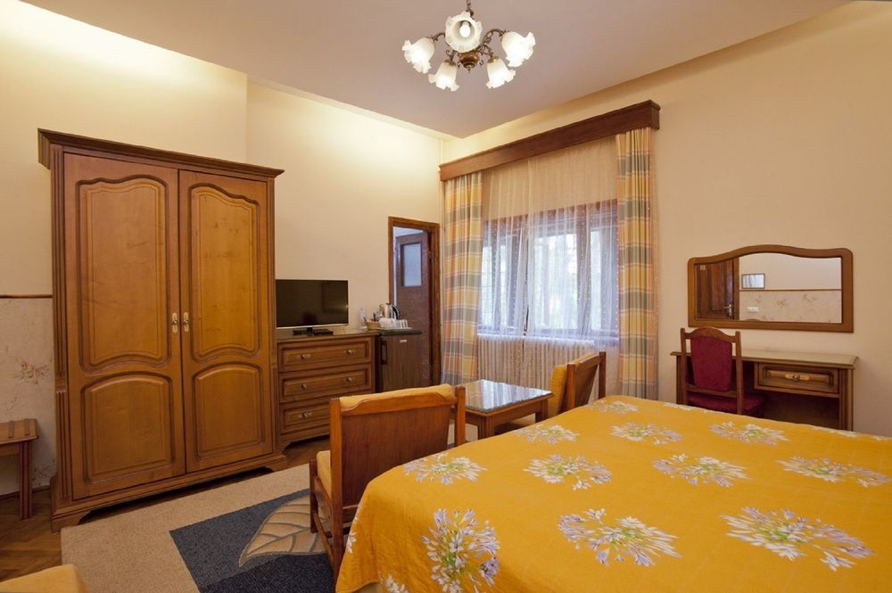 Vila Camelia Sinaia Exteriör bild